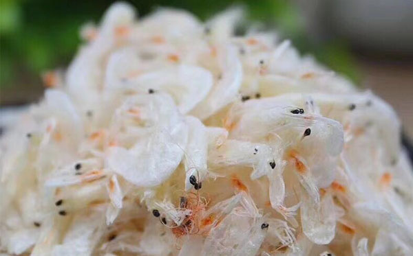 野生無(wú)鹽蝦皮