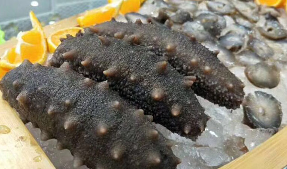 干海參禮盒多少錢？