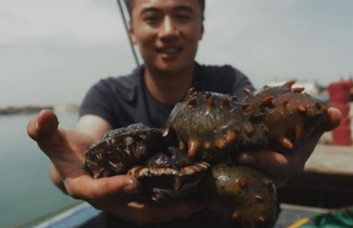 長(zhǎng)島海參